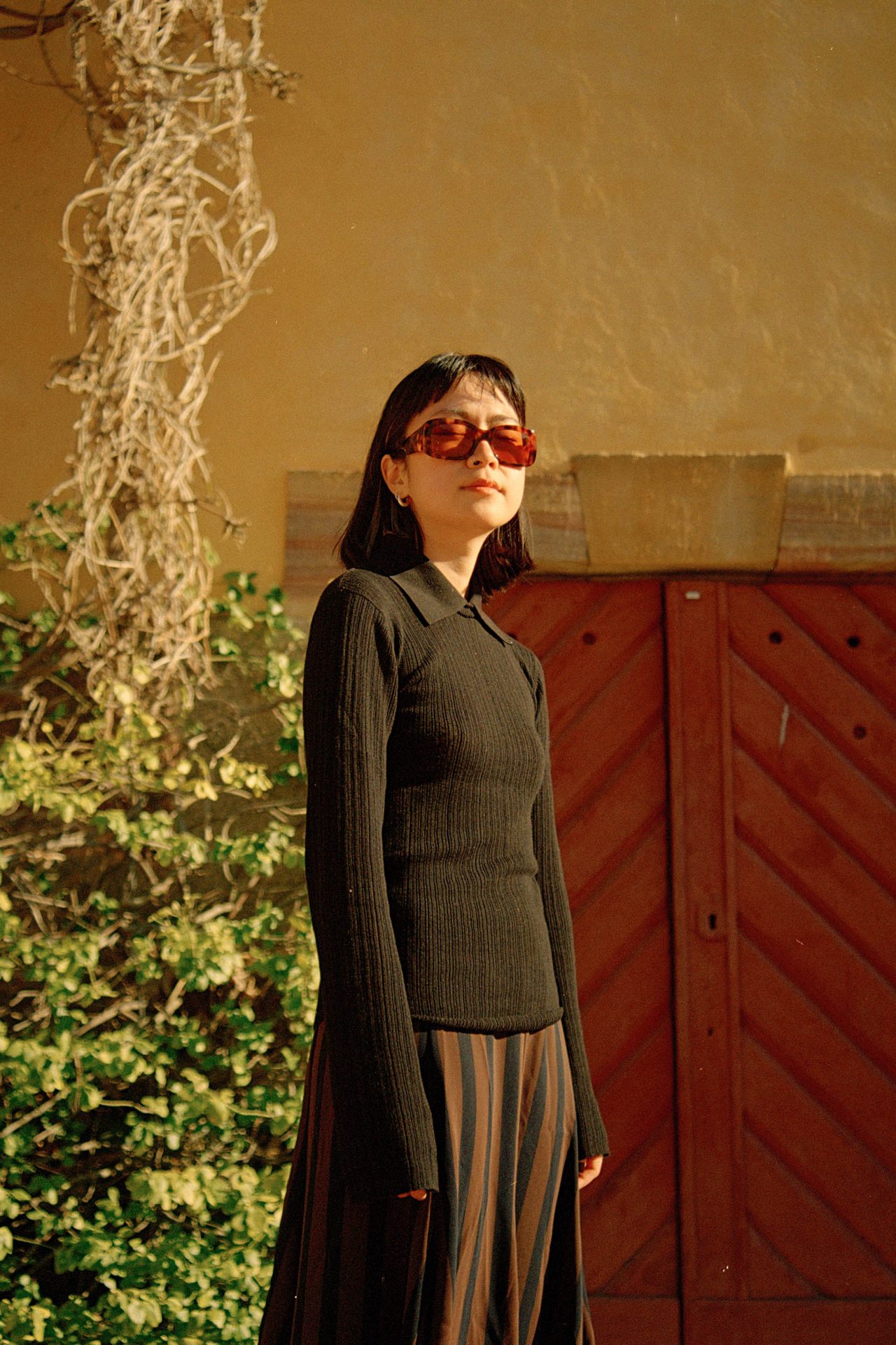 Donna Lee
